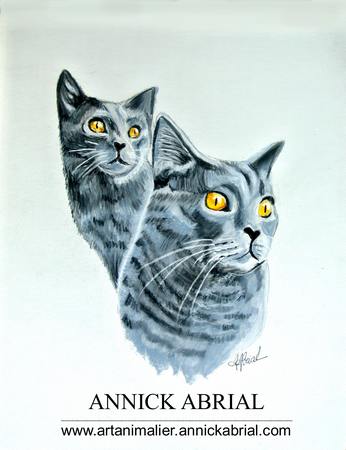 Portrait de deux chats réalisé aux pastels secs sur commande