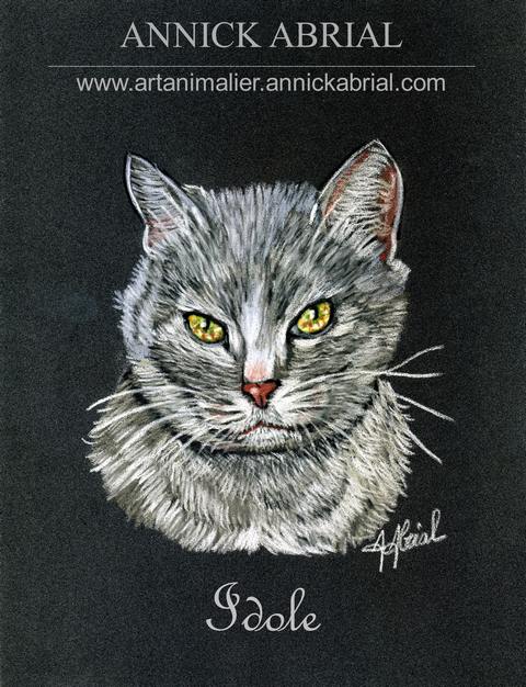 Portrait aux pastels secs de Idole chat réalisé sur commande