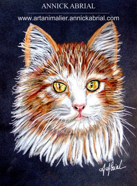 Portrait aux pastels secs d'un chat