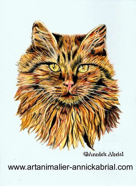 Portrait aux pastels secs d'un chat