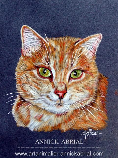 Portrait aux pastels secs de Abricot chat européen réalisé sur commande