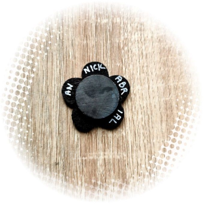 Aimant à aiguilles, magnets N°5 Pièce unique