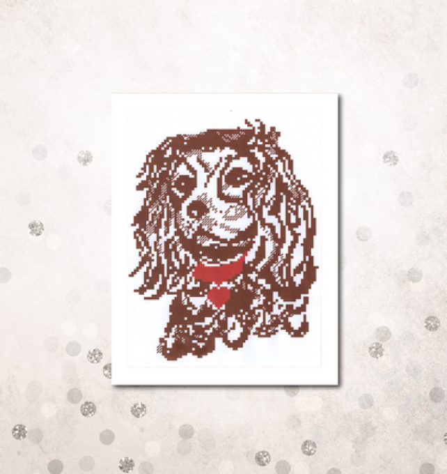 Point de croix, Le cavalier King Charles